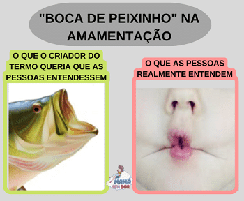 Comparativo entre um peixe com boca aberta e uma pessoa fazendo boca de peixinho.