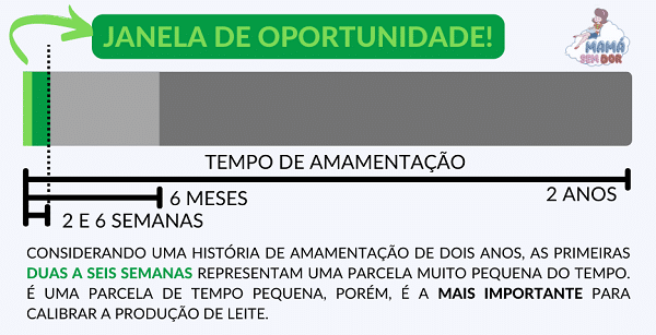 As primeiras semanas de uma história de amamentação são as mais importantes para calibrar a produção de leite materno.
